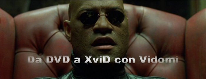 Conversione DVD in XviD 1.0 RC2 con Vidomi